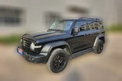 2021 Tank 300 2021 Off-road 2.0T AT challenger #1