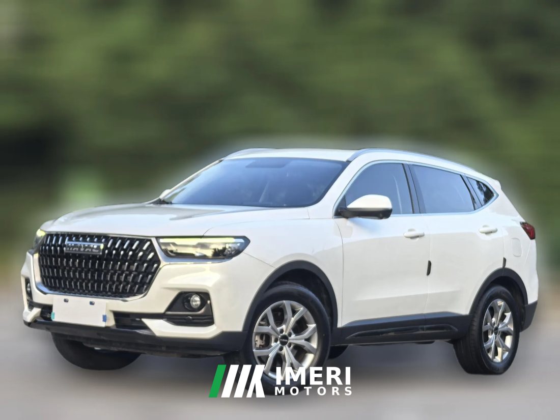 2022 Haval H6 2021 1.5T AT China tideChampionGDI