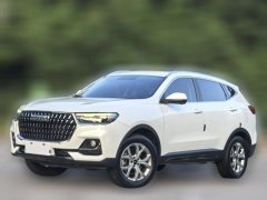 2022 Haval H6 2021 1.5T AT China tideChampionGDI #1