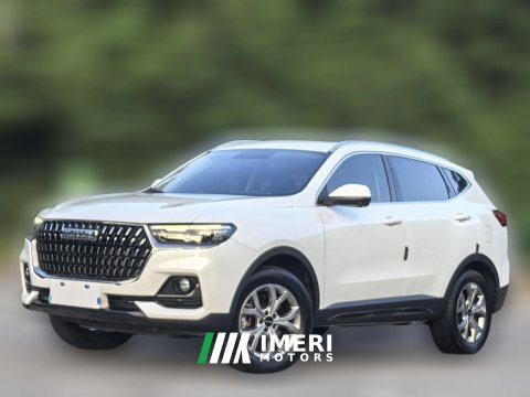 2022 Haval H6 2021 1.5T AT China tideChampionGDI