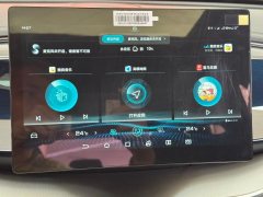 2022 BYD Qin Plus 2021 1.5 AT DM-i 120KM Premium #20