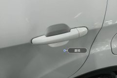 მარცხენა უკანა კარი Handle