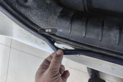Trunk Seal