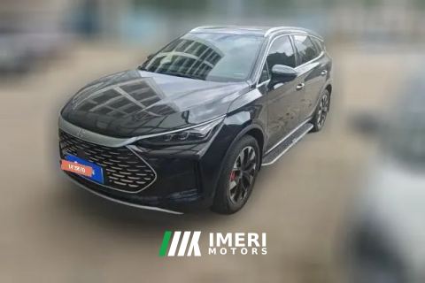 2024 BYD Tang New Energy 2024 DM-p Champion 1.5T AT 215KM 4WDFlagship
