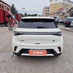 2024 BYD Dolphin 2023 420km freeEdition #8