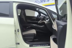2025 BYD Dolphin 2025 Smart Drive 420km freeEdition #8
