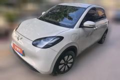 2024 Wuling Motors Wuling Bingo 2024 333km Joy #1