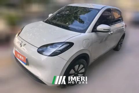 2024 Wuling Motors Wuling Bingo 2024 333km Joy