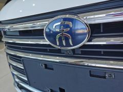 2020 BYD Song MAX 2021 1.5T AT UpgradeEditionPremium7Seat #23