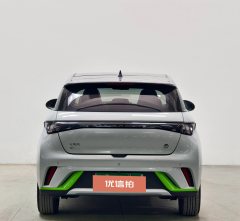 2022 BYD Dolphin 2021 405km Fashion #5