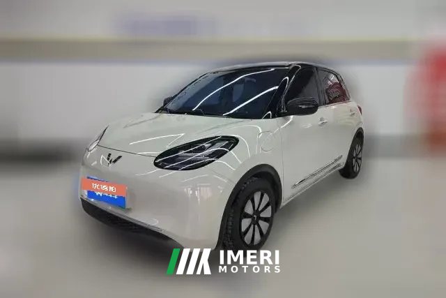 2024 Wuling Motors Wuling Bingo 2023 410kmLingxiExclusive