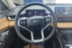 2021 Haval H6 2021 2.0T AT No.3generation2WDMax #15