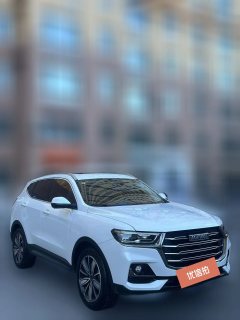 2024 Haval H6 2023 China tideEdition 1.5T AT Champion #2