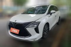 2022 Dongfeng Fengxing Fengxing Youting 2022 5T AT DCTHold the moonEdition #1