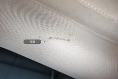 Roof Lining