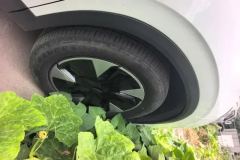 2024 Dongfeng Fengshen Dongfeng Fengshen L7 2024 205 Plus #6