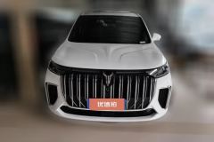 2023 Voyah Dreamer 2022 low carbonEdition Dream+SmartBag #2