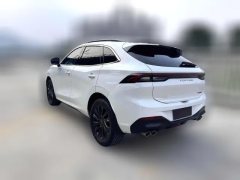 2021 Dongfeng Fengxing Fengxing T5 Evo 2021 1.5TD AT DCTStar #5