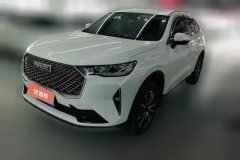 2024 Haval H6 2022 No.3generation 1.5T AT 2WDMax #1
