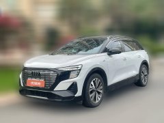 2023 Audi Q5 e-tron 2022 40 e-tron star shine brocade suit day by dayEdition #1