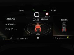 2024 Tank 300 2024 2.0T AT challenger #9