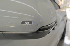 Left Exterior Mirror