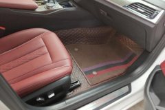 2021 BMW 5 Series 2021 2.0T AT 530LiLeadingLuxury Pkg #8