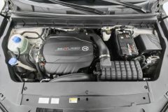 2021 GAC Trumpchi Trumpchi GS8 2021 2.0T AT 390TLuxurySmart ConnectZongqingEdition（7Seat） FWD #7