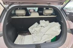 2022 BYD Dolphin 2021 401km knightEdition #4