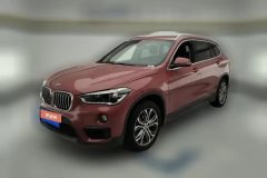 2019 BMW X1 2019 2.0T AT 20LiLeadingFWD #1