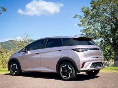 2022 BYD Dolphin 2021 405km Fashion #6