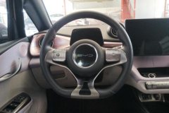 2022 BYD Dolphin 2021 405km Fashion #15