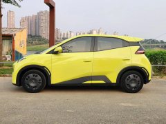 2023 BYD Seagull 2024 Glory 305KM freeEdition #3