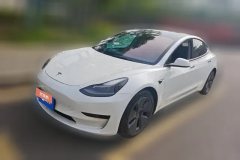 2021 Tesla Model 3 2021 StandardBattery lifeRWDUpgradeEdition 3D6 #1