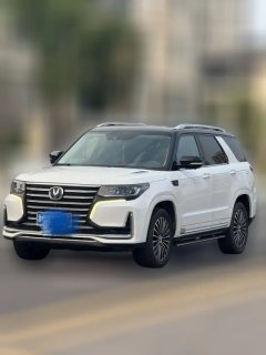 2021 Chang'an CS95 2019 2.0T AT Luxury FWD #1
