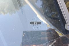 Windshield