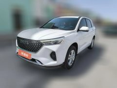 2021 Haval M6 2021 1.5T AT DCTEliteSmart ConnectPLUS #1