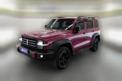 2021 Tank 300 2021 Off-road 2.0TAT conqueror #1
