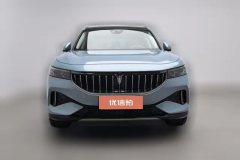 2022 Voyah Free 2021 4WDStandardEREVExclusiveLuxury Pkg #3