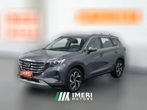 2018 GAC Trumpchi Trumpchi GS5 2019 1.5T AT 270TExclusive