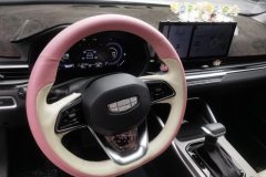2023 Geely Auto Emgrand Sedan 2023 No.4generationChampion 1.5L AT CVTPremium #12