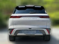 2023 BYD Corvette 07 2023 1.5T AT DM-i 205KM Premium #8