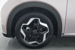 2022 BYD Dolphin 2021 405km Fashion #6