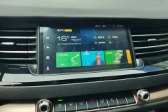 2020 Haval H6 2020 1.5T AT PlatinumChampion #13