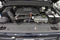 2024 Tank 300 2024 2.0T AT challenger #10