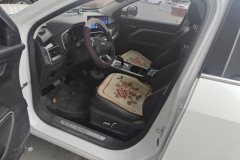 2022 Haval H6 2021 1.5T AT China tideChampion #9