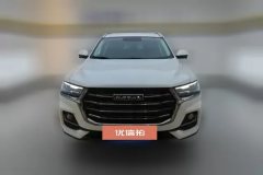 2021 Haval H6 2021 1.5T AT China tideChampion #2