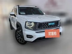 2024 Haval Big Dog Plus PHEV 2023 DHT-PHEV 105km Tide electricityEdition #3