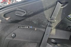 Trunk Left Trim
