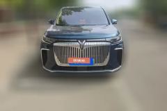 2024 Voyah Dreamer 2025 1.5T AT PHEV 4WDNoble KunpengEdition #2